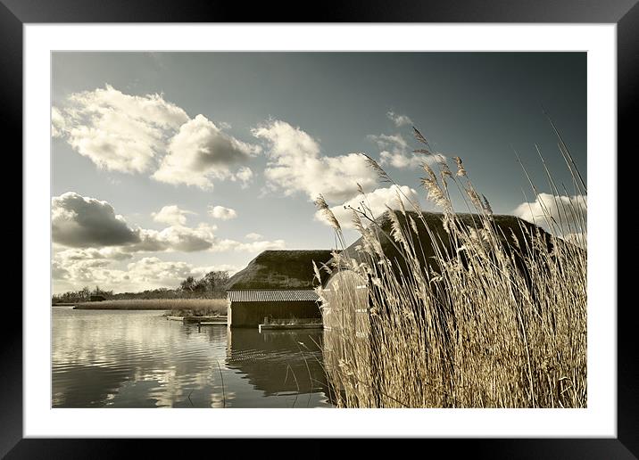 Thatched Boatsheds Framed Mounted Print by Stephen Mole
