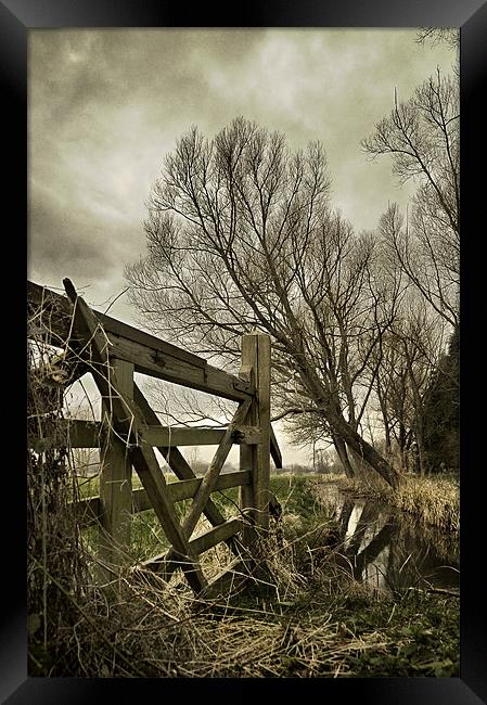 5 bar gate and ditch Framed Print by Stephen Mole
