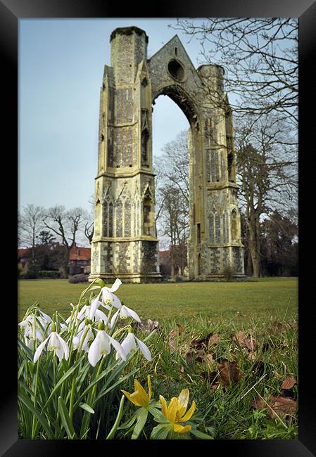 Abbey and snowdrops Framed Print by Stephen Mole