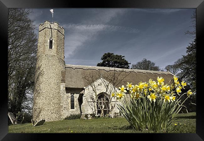 Daffodils at Horsey Church, Norfolk Framed Print by Stephen Mole