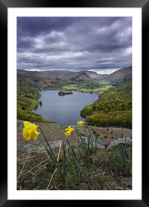 Daffodils over Grassmere Framed Mounted Print by Stephen Mole