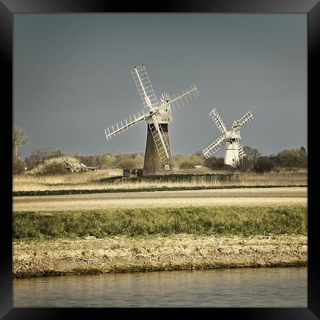 Thurne Mill and St Benets Mill Framed Print by Stephen Mole
