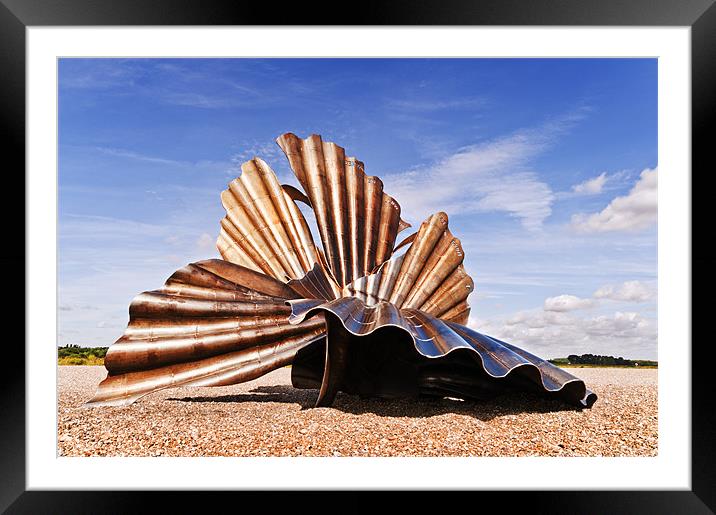 Aldeburgh Scallop Framed Mounted Print by Stephen Mole