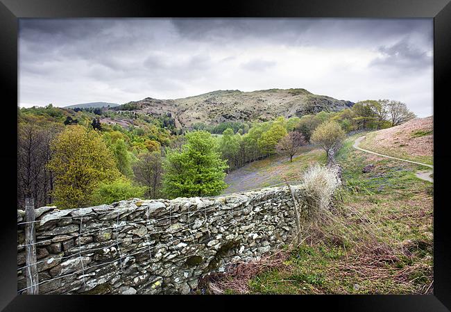 Dry Stone Wall Framed Print by Stephen Mole