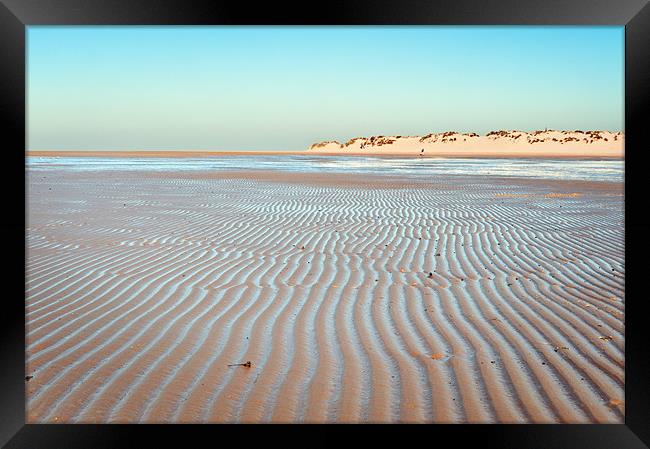 Ridges in the sand Framed Print by Stephen Mole