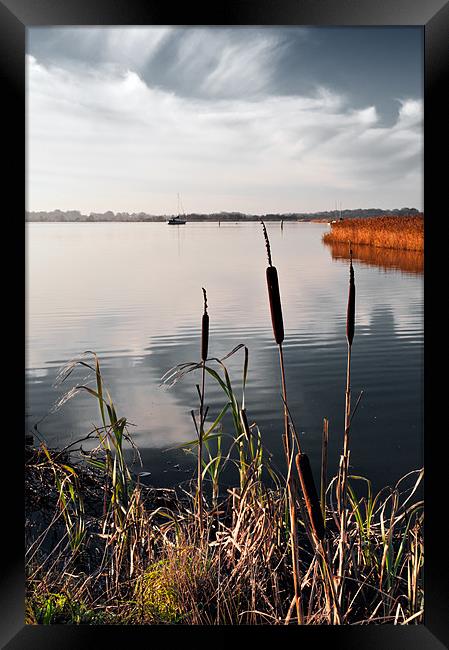 Bullrushes over Hickling Broad Framed Print by Stephen Mole