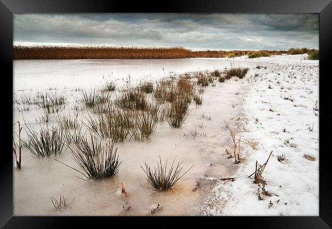 Frozen salt marsh Framed Print by Stephen Mole