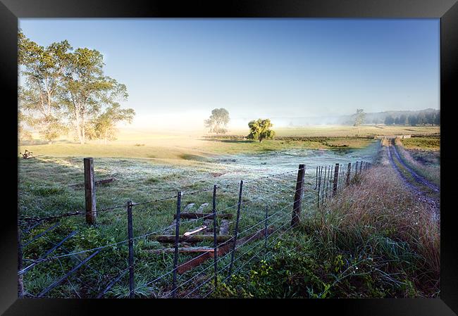 Misty morning Framed Print by Stephen Mole