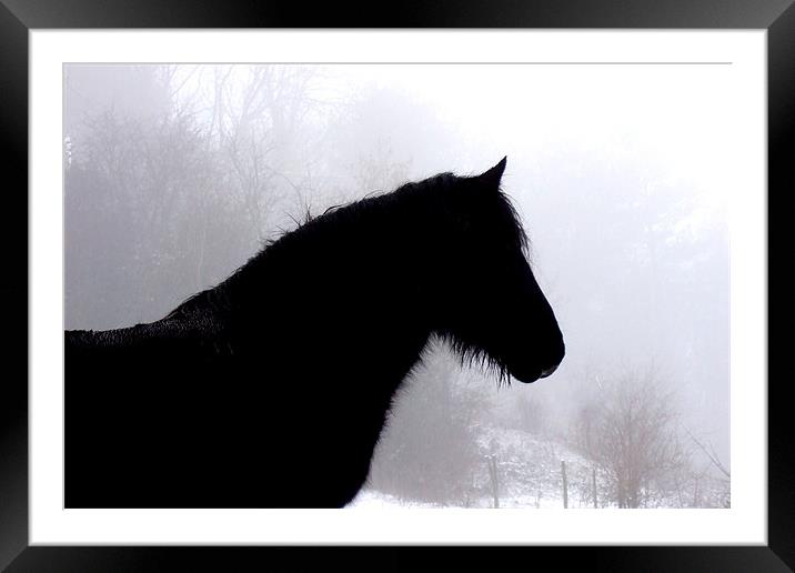 Horse in snowy field Framed Mounted Print by Pete Holloway