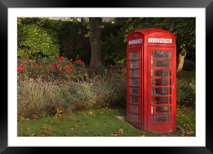 Phonebox & Roses Framed Mounted Print by Nigel Walker