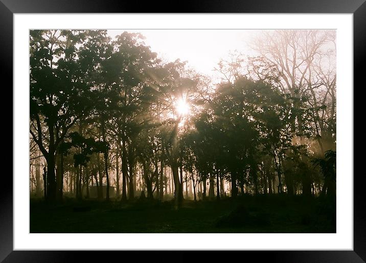 kiss of light Framed Mounted Print by abhilash k