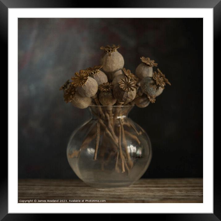 Dried Poppy Still Life Framed Mounted Print by James Rowland