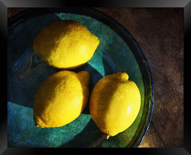 Lemons Framed Print by James Rowland