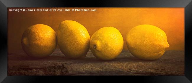  Four Lemons Framed Print by James Rowland