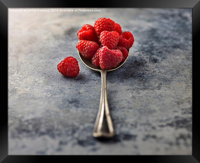  Raspberries Framed Print by James Rowland