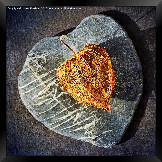  Heart Stone Framed Print by James Rowland