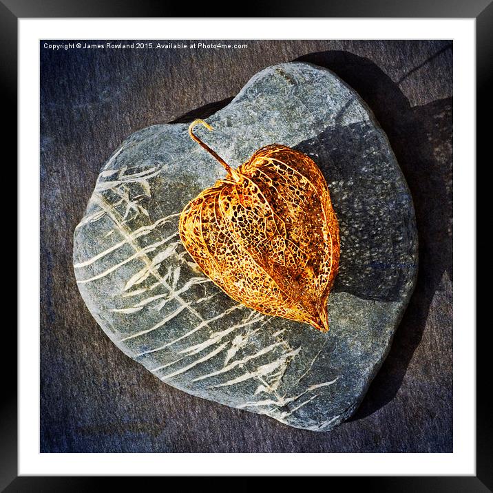  Heart Stone Framed Mounted Print by James Rowland
