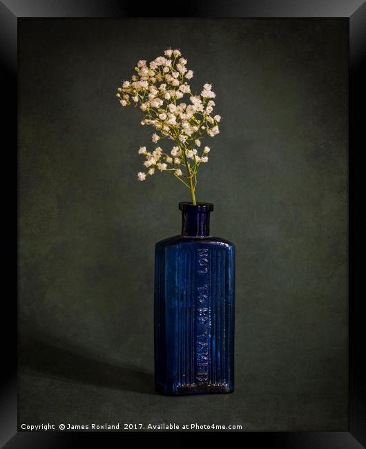 Blue Bottle with White Flowers Framed Print by James Rowland
