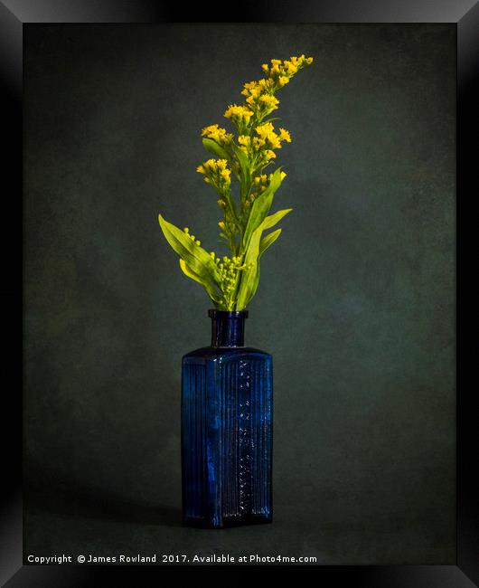 A Bottle with Flower Framed Print by James Rowland