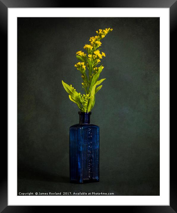 A Bottle with Flower Framed Mounted Print by James Rowland