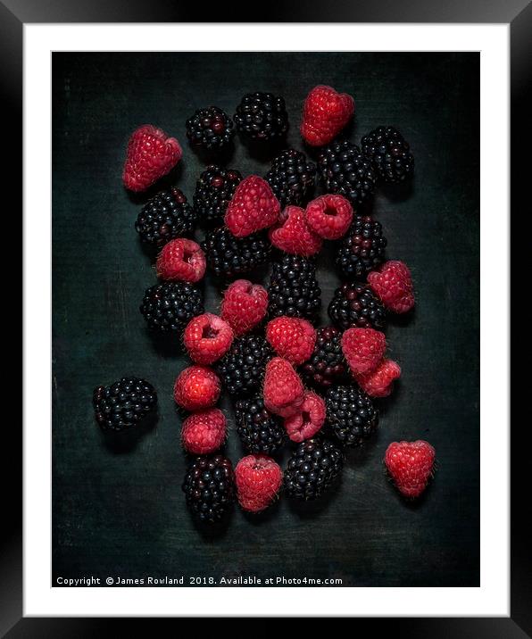 Blackberries & Raspberries Framed Mounted Print by James Rowland