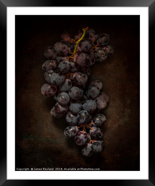 Dark Grapes Framed Mounted Print by James Rowland