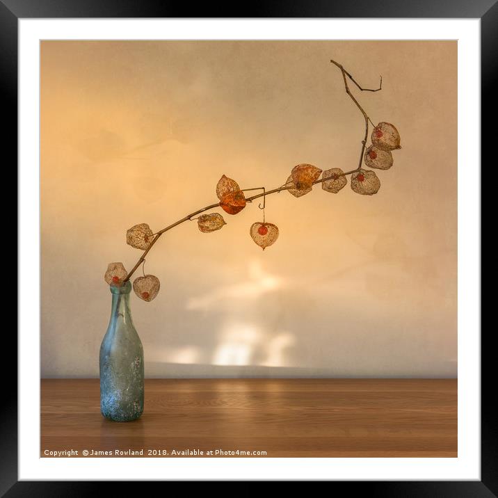 Physalis in a Bottle Framed Mounted Print by James Rowland