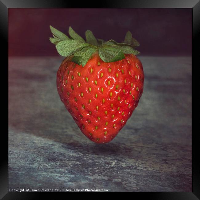 Extraordinary Strawberry Framed Print by James Rowland