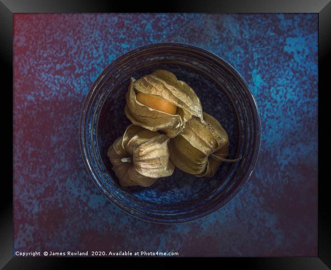 Physalis in a Bowl Framed Print by James Rowland