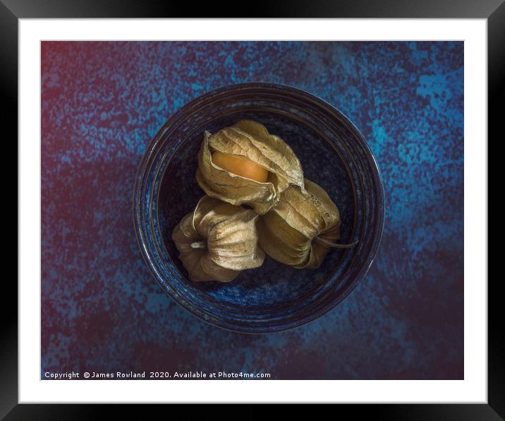 Physalis in a Bowl Framed Mounted Print by James Rowland
