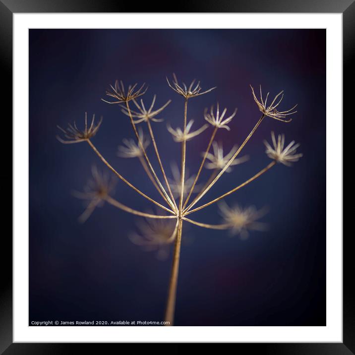 Starburst Framed Mounted Print by James Rowland