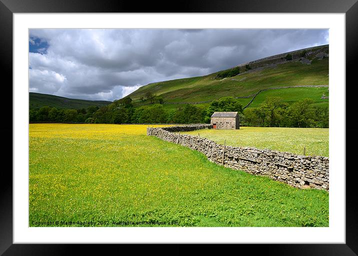 Field of Gold Framed Mounted Print by Martin Appleby