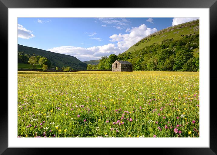 Muker Meadow Framed Mounted Print by Martin Appleby
