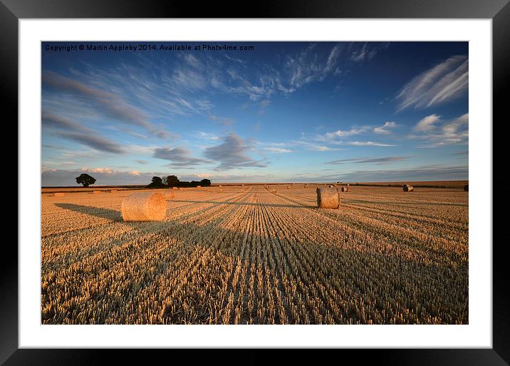 Hay Bales Framed Mounted Print by Martin Appleby