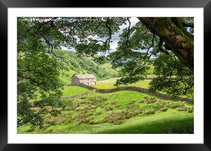 Swaledale Barn Framed Mounted Print by Martin Appleby