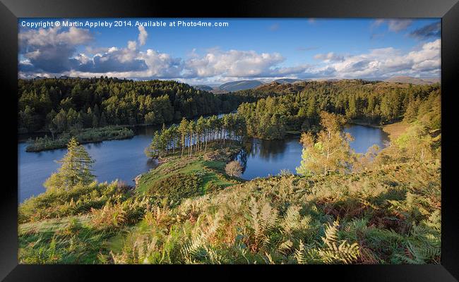  Tarn Hows Framed Print by Martin Appleby