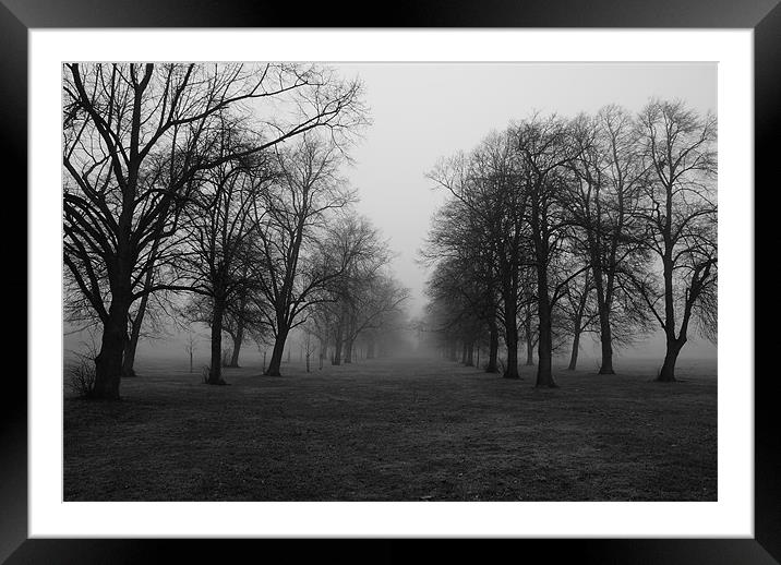 Foggy Walk Framed Mounted Print by Dave Windsor
