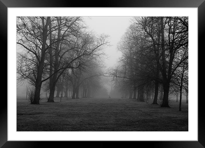 Foggy Walk Framed Mounted Print by Dave Windsor