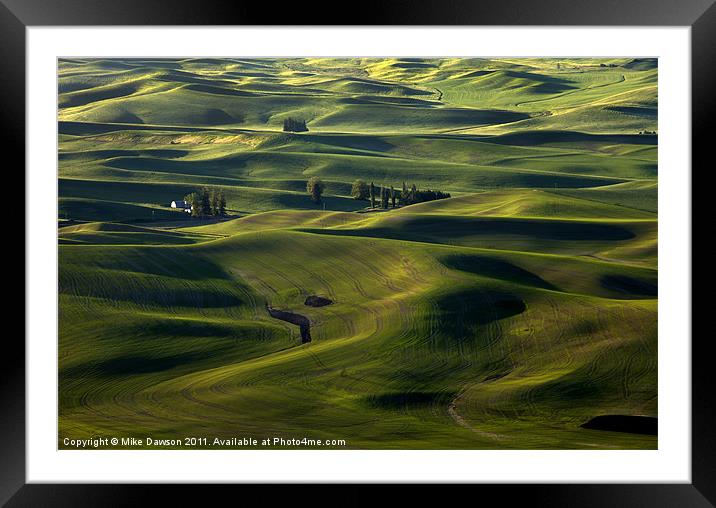 Sea of Green Framed Mounted Print by Mike Dawson