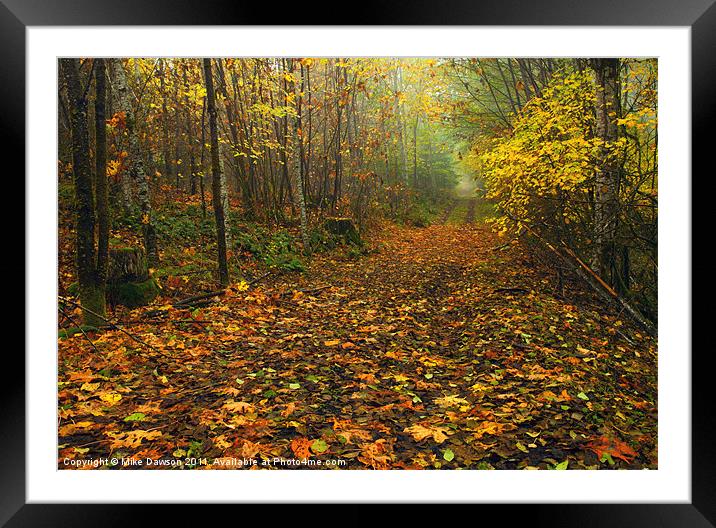 Autumn Lane Framed Mounted Print by Mike Dawson