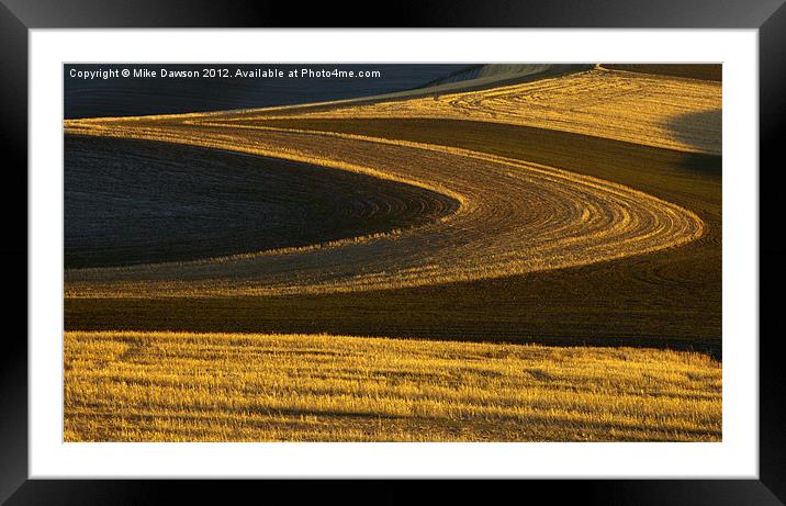 Patterns of Gold Framed Mounted Print by Mike Dawson
