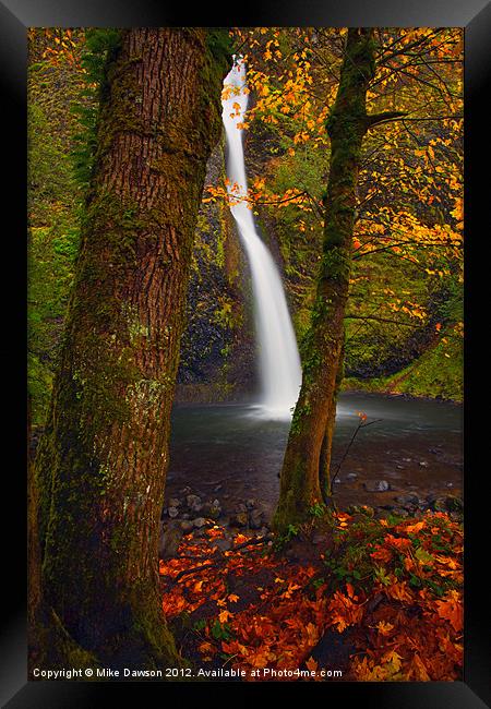 Surrounded by the Season Framed Print by Mike Dawson