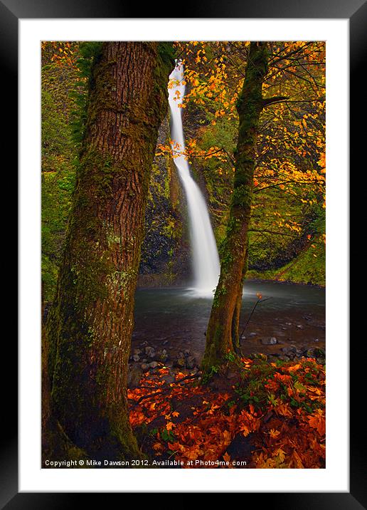 Surrounded by the Season Framed Mounted Print by Mike Dawson