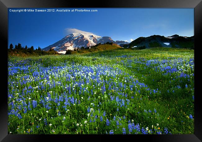 Fields of Paradise Framed Print by Mike Dawson