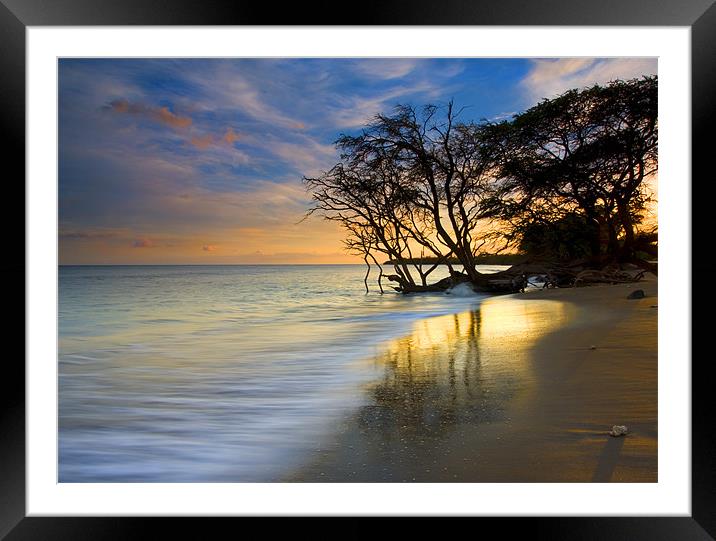 Reflections of Paradise Framed Mounted Print by Mike Dawson