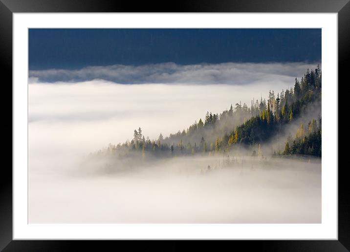 Autumn Morn  Framed Mounted Print by Mike Dawson