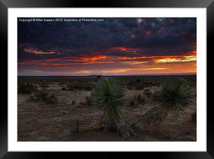 Yucca Sunset Framed Mounted Print by Mike Dawson