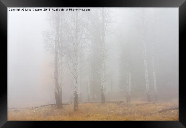 Autumn Reveals Framed Print by Mike Dawson