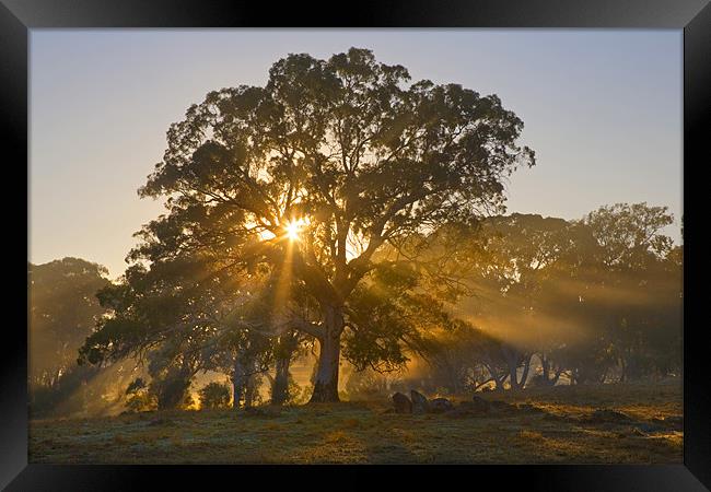 Let there be Light  Framed Print by Mike Dawson