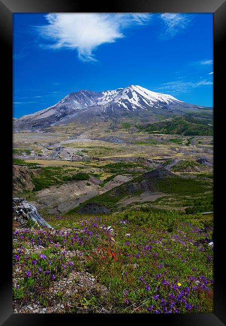 St. Helens Crater Framed Print by Mike Dawson